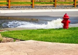 05-Flushing-Fire-Hydrant