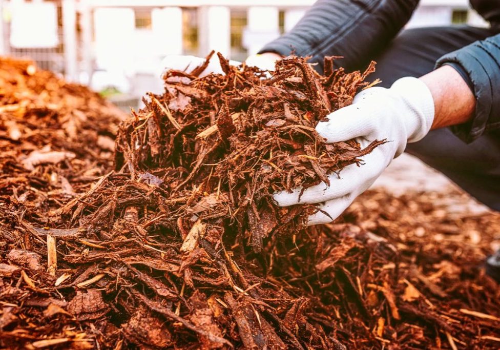 A County-operated loader will be available to load free wood chips for homeowners to use as mulch, when available.