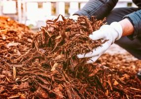 A County-operated loader will be available to load free wood chips for homeowners to use as mulch, when available.