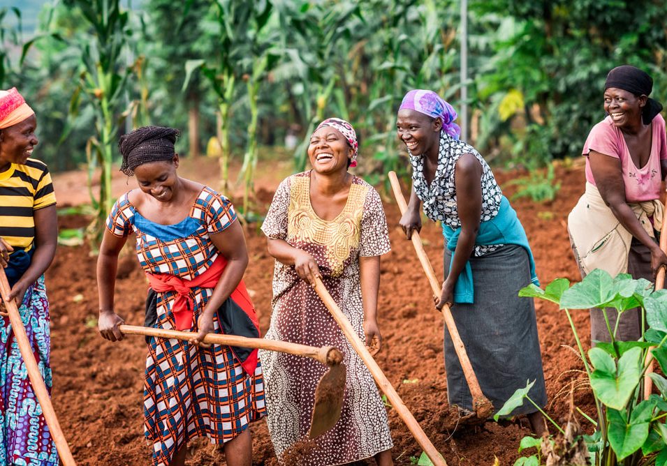 Parents farm to provide the vegetables needed to feed students, circa 2024.