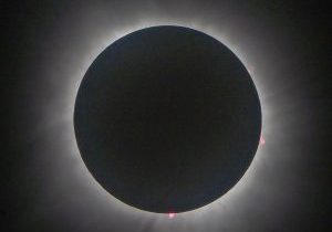 Close-up of the solar prominences seen during the eclipse along with the corona, the outermost part of the sun’s atmosphere seen during the April 8 total solar eclipse. 