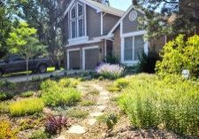 In 2022, just two years after it was planted, Leigh and Eric Houston’s front yard was already displaying the beauty of xeriscape. See The Connection’s article from August 2020: “Goodbye lawn, hello butterflies, bees and birds.”