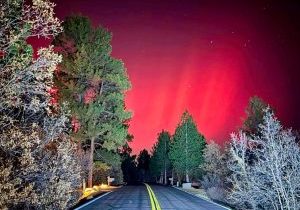 Photo courtesy of Tiffanie Staver in The Village at Castle Pines