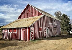 Overstreet Barn, built on upper Jarre parcel built by John Overstreet after marrying Alphonso’s widow. Visible from Highway #67.
