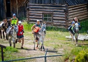 The Fairplay Burro Days celebration began in 1949 with a challenge to race alongside a burro from Leadville to Fairplay. These days, racers on the long course of almost 30 miles start in Fairplay at an elevation of 9,953 feet and reach 13,185 feet at the halfway point at the top of Mosquito Pass before racing back.