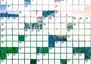26-crosswordblank-op1