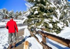 One way to beat the winter blues is to get outside on a sunny day. Steve Nicklanovich and Roxie are walking in their HOA2 neighborhood.
