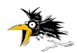 Crow_web